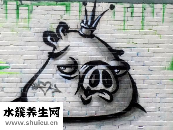 滑溜肉片怎么做