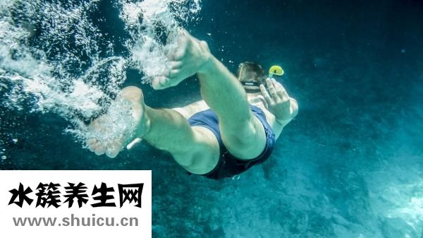 熱帶魚怎么分辨公母