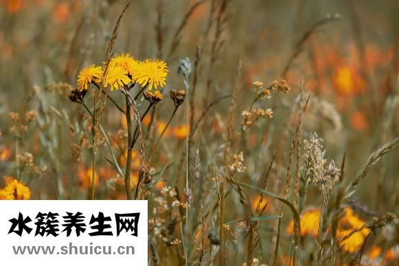 慈禧太后怎么洗澡