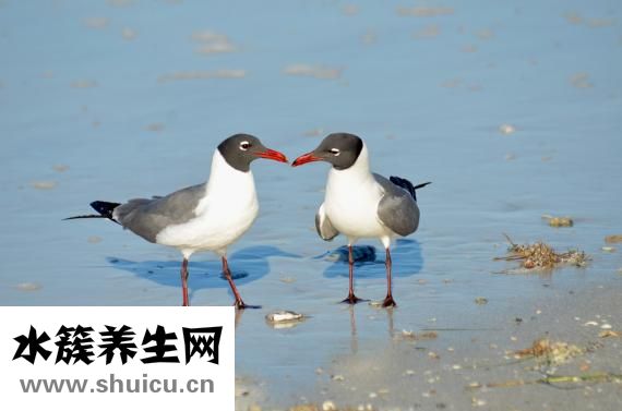 怎么使腦袋清醒