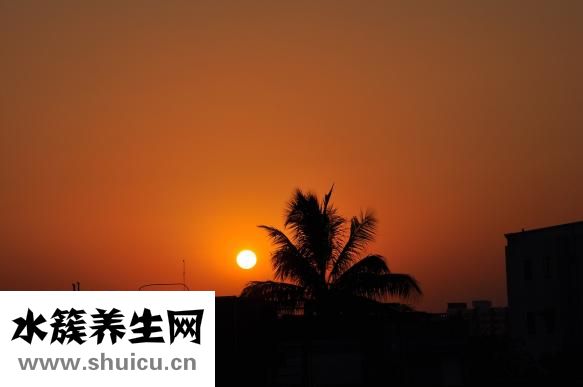 皮膚超級(jí)干怎么辦