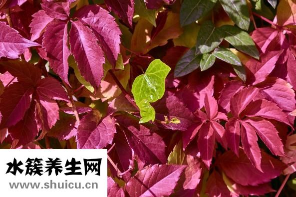 無法做病理怎么辦