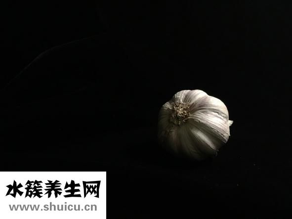 松獅皮炎怎么辦