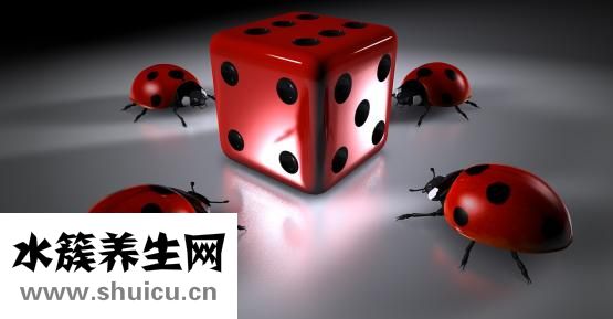 辣椒炒雞內臟怎么