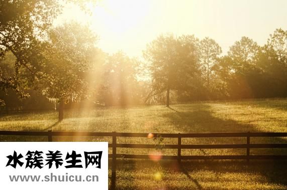 皮膚超級(jí)干怎么辦