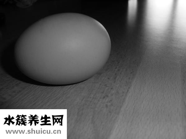 荷蘭豬年齡怎么判斷