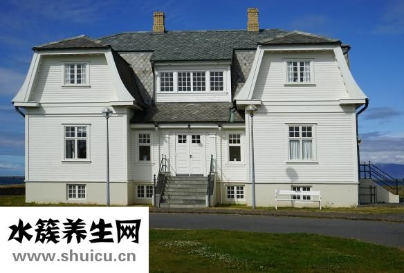 家具樹怎么種植