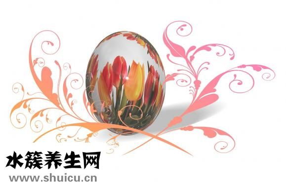 舊燃氣灶怎么處理