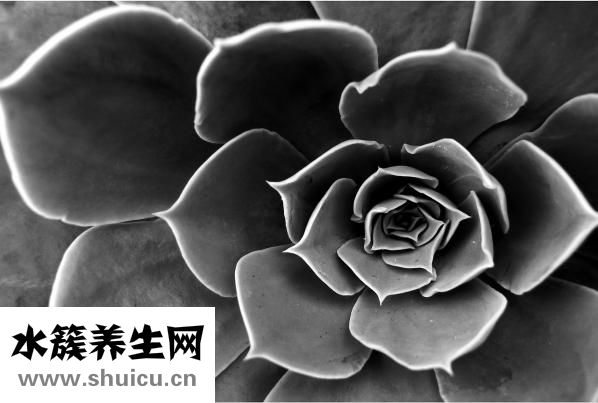 皮膚受傷該怎么辦