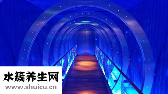 果凍表怎么調(diào)時間