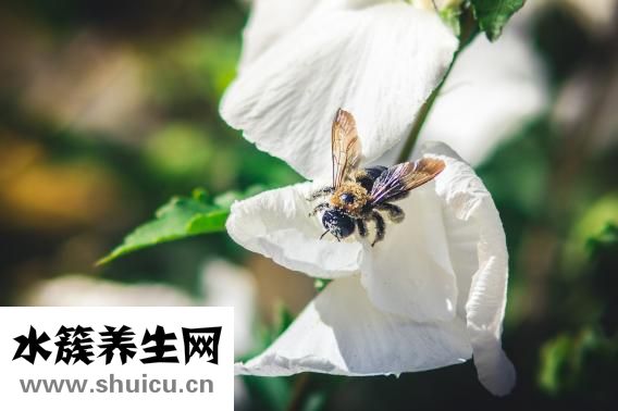 江油水云間怎么消費