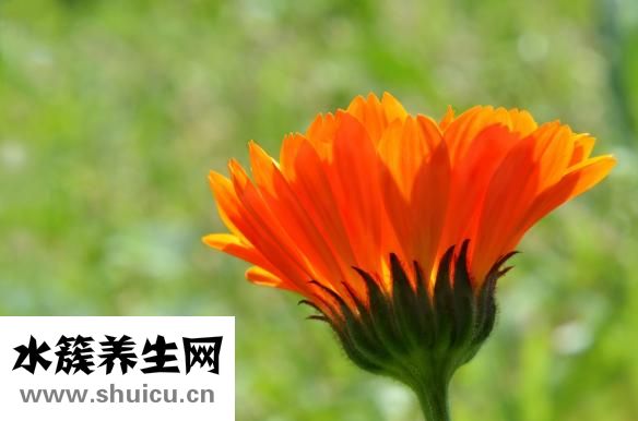 情感依賴癥怎么解決