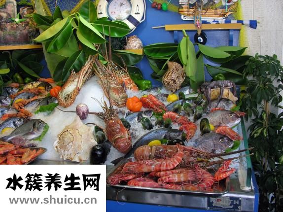 熱帶魚怎么分辨公母