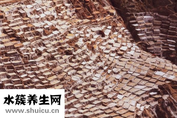 松獅皮炎怎么辦