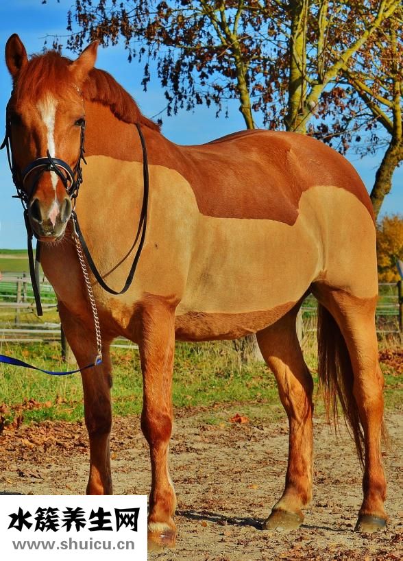 怎么剃胡子干凈