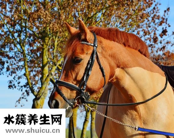 怎么剃胡子干凈