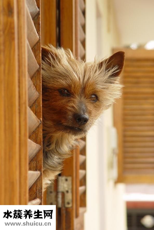 點(diǎn)到誰(shuí)就是誰(shuí)怎么說(shuō)