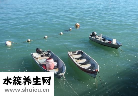 孕婦鼠標手怎么辦