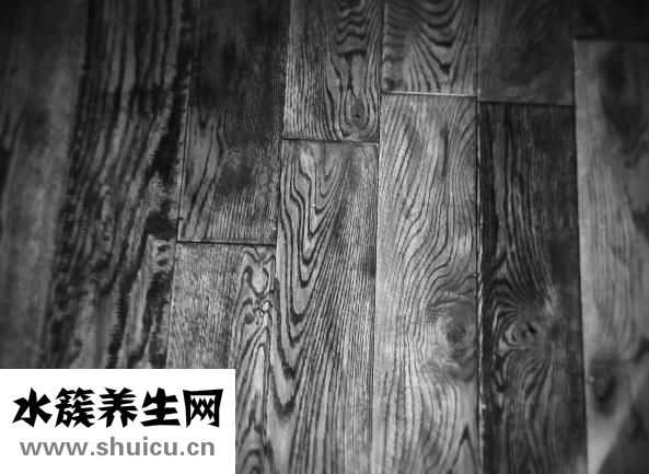 家具樹怎么種植