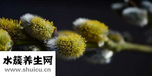 土豆怎么不長芽