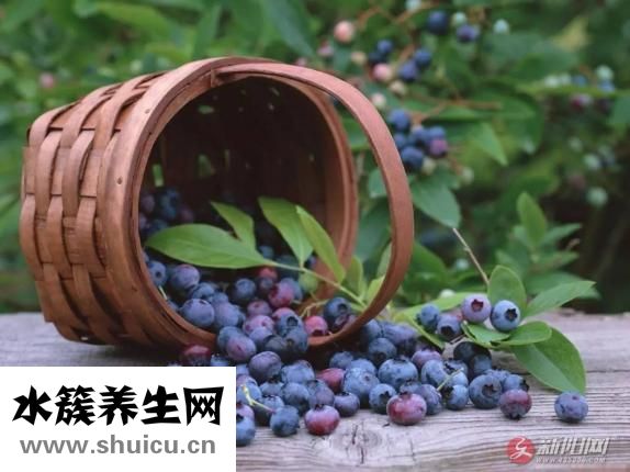 怎么讓眼睛變藍