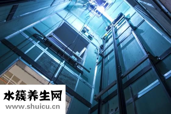 白芍怎么做好吃