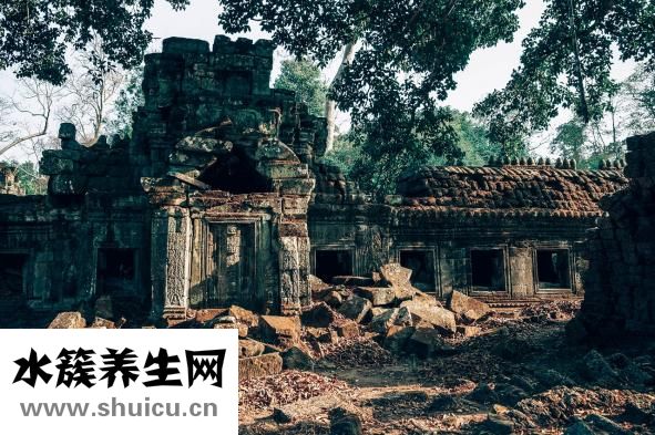 毒蛇咬到怎么辦