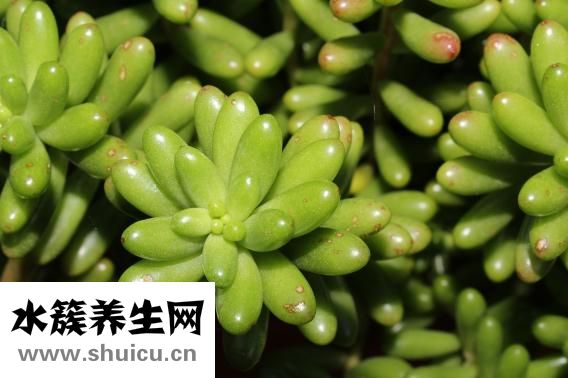 怎么掛氣球好看