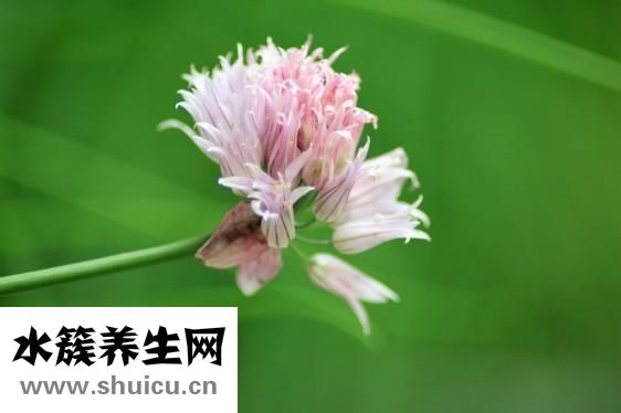 輕度高血壓怎么調理