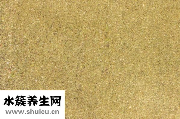 速溶椰子粉怎么吃