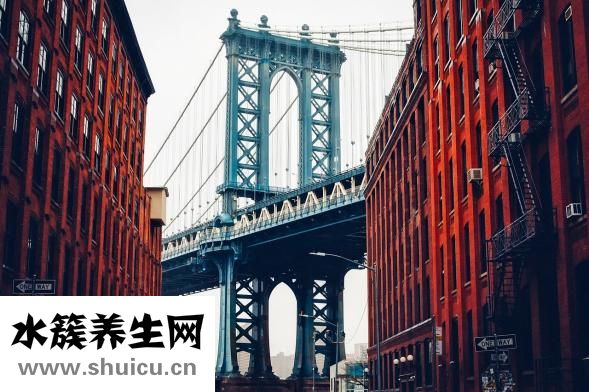 男貓女貓怎么認