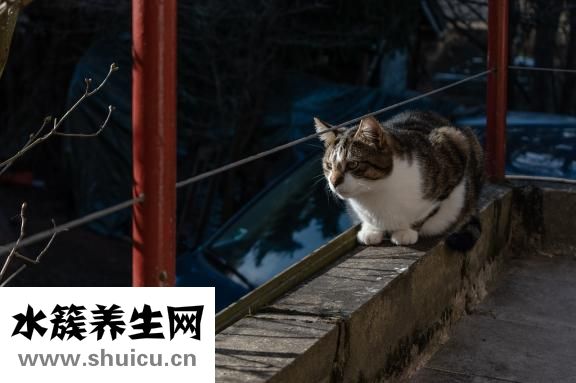 請哺乳假怎么扣獎金