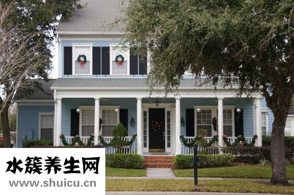 白芍怎么做好吃