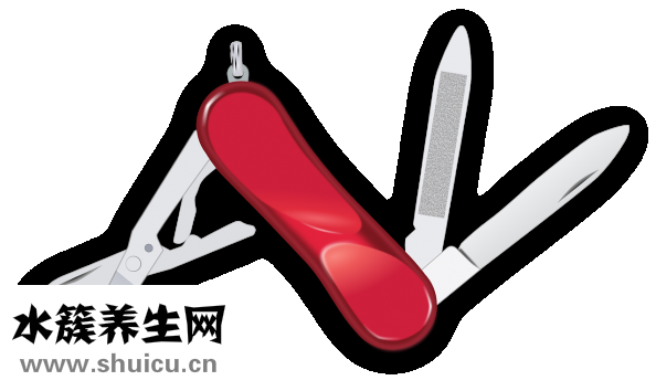 櫸木砧板怎么保養