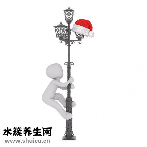 干筆架魚肚怎么炒