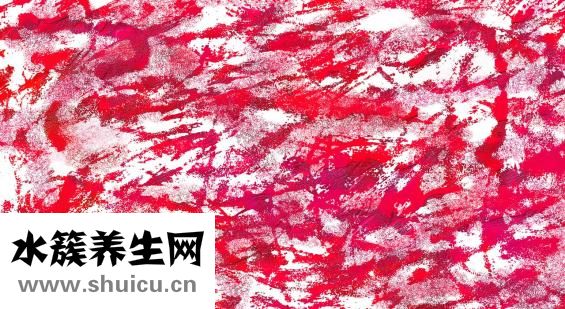 紫光怎么檢測尿液