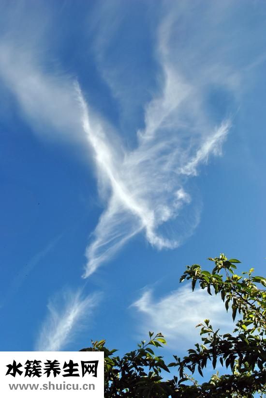 過濾器怎么放才好