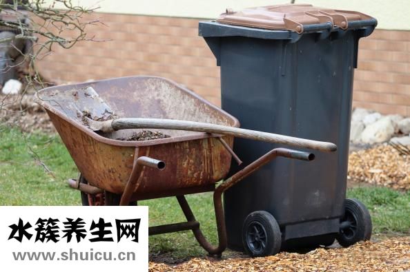 狗狗耳邊感染怎么辦