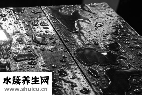 笨狗反腸子怎么辦