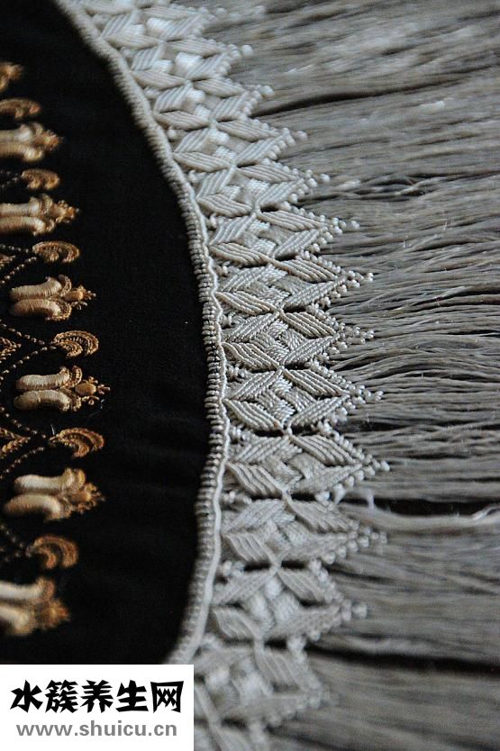 笨狗反腸子怎么辦