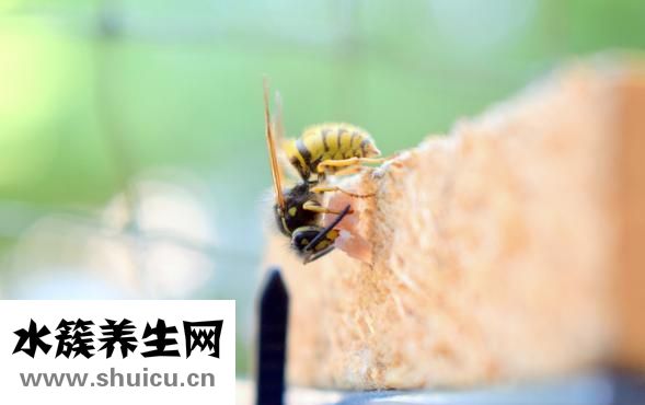 怎么一下子就餓了