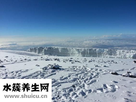 毒蛇咬到怎么辦