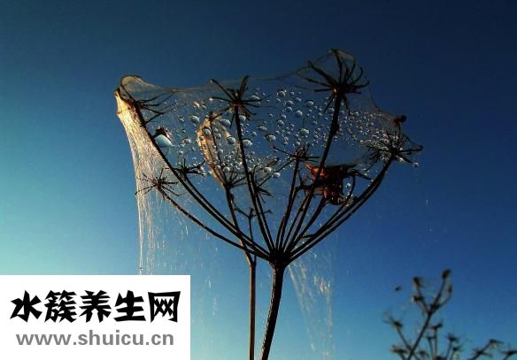 毛衣領子發黃怎么辦