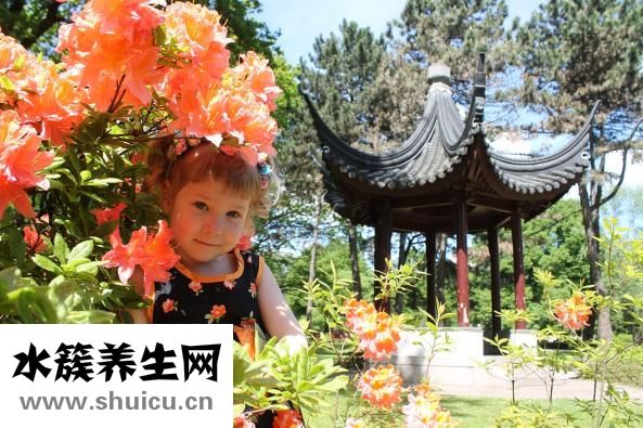 怎么稱呼小蘿莉