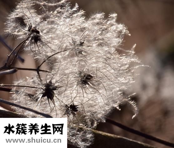 毛衣領子發黃怎么辦