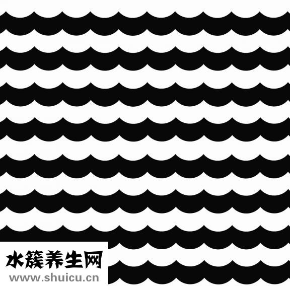 扇貝肉柱怎么洗