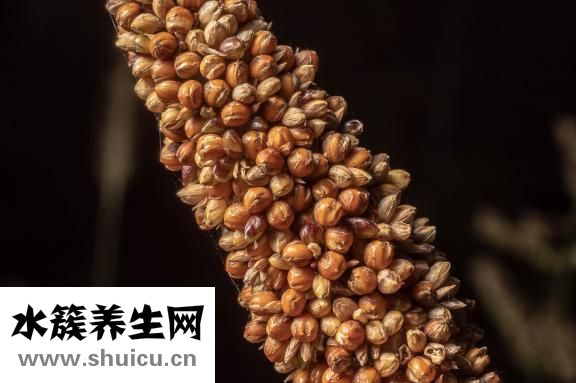 白菜炒魷魚怎么做