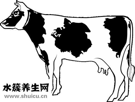 羊肉湯咸了怎么辦