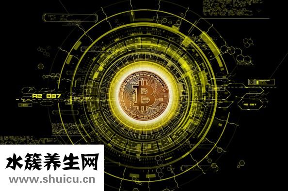 怎么和貓咪交流