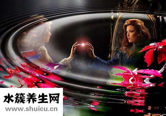 毒蛇咬到怎么辦